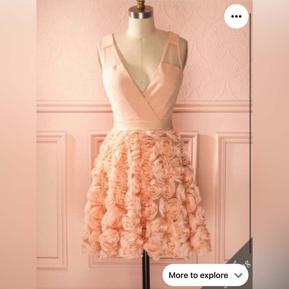 A Drea dress size small beautiful blush pink fit-n-flare sheer back mini dress‎ - Picture 2 of 10